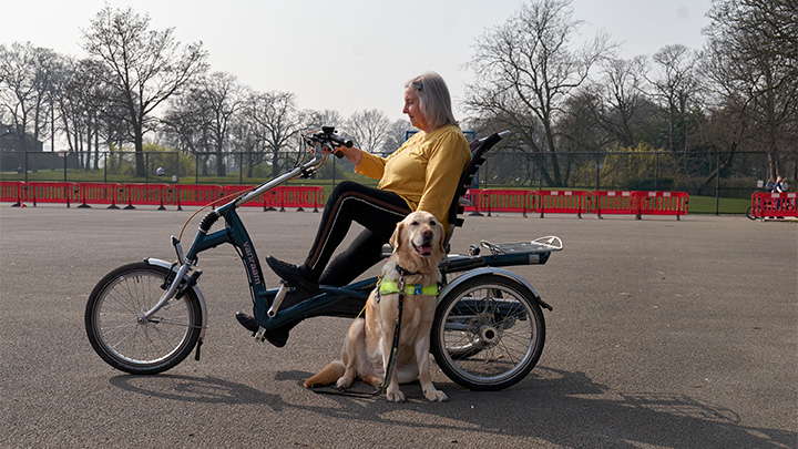 Elderly woman sat in accessible bicycle with guide dog Elderly woman sat in accessible bicycle with guide dog
